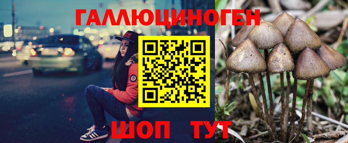 Псилоцибиновые грибы мицелий Алушта