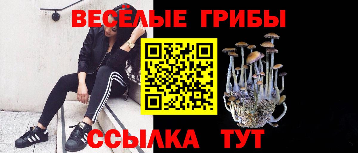 Алушта  Псилоцибиновые грибы Psilocybine cubensis  наркошоп  Вход с VPN  Галлюциногенные грибы MAGIC MUSHROOMS 